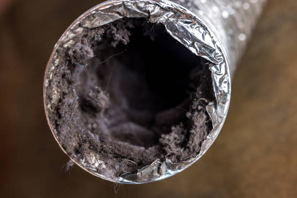 Best Best Air Duct Cleaning Company  in Inglewood, CA